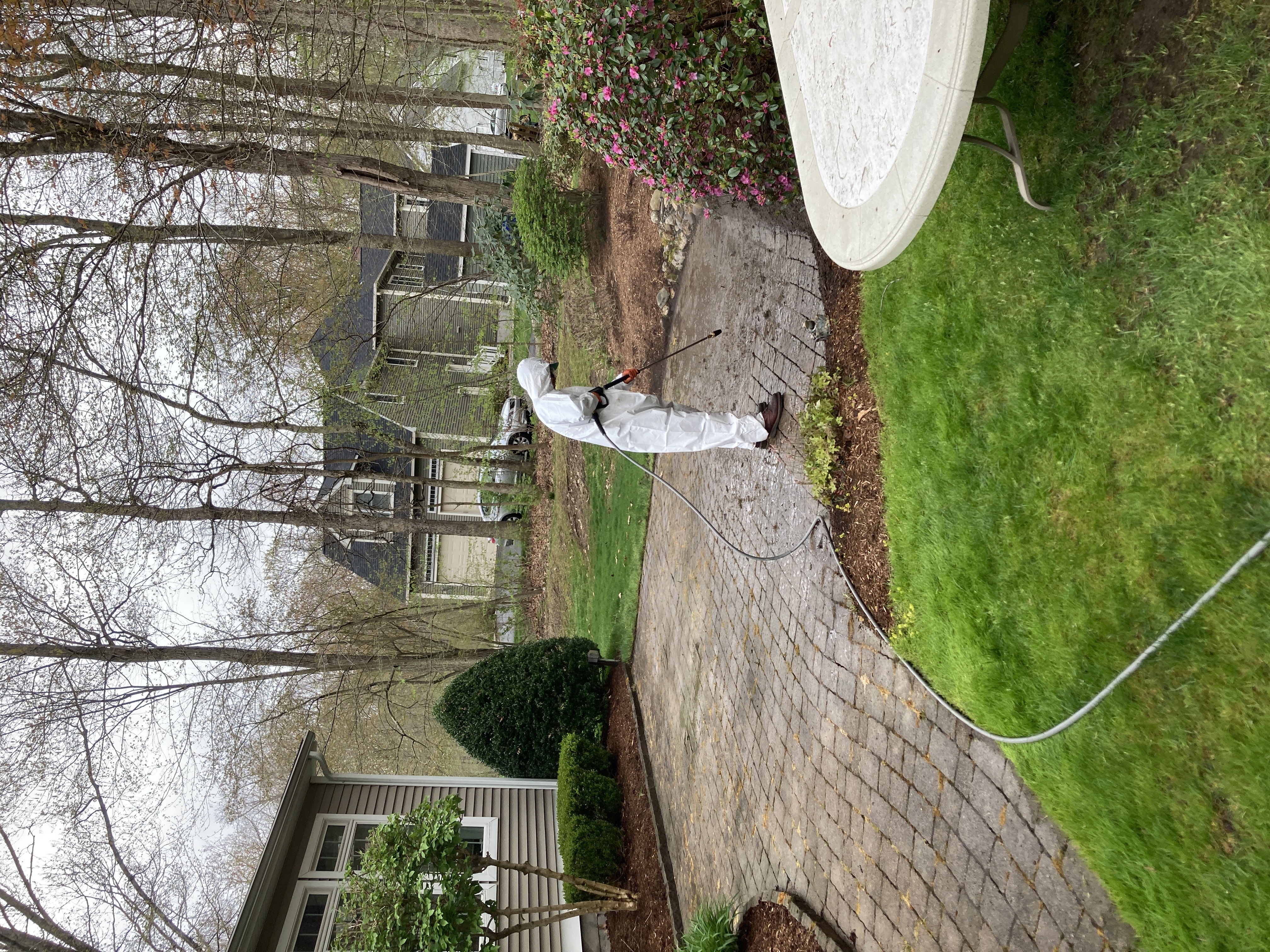 Brick and Paver Cleaning Services